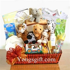 Blessed Baby Exclusive Gift Basket to Japan