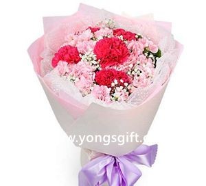 Very Berry Carnations to Taiwan