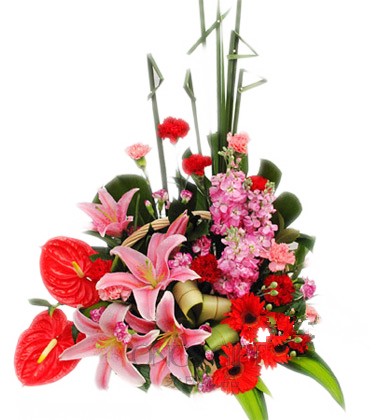 Spring is Warm Premium Flower Basket to China