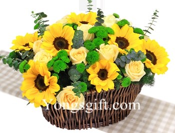 Basket of Sunshine to China