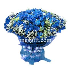 Three Dozen Blue Rose to Indonesia