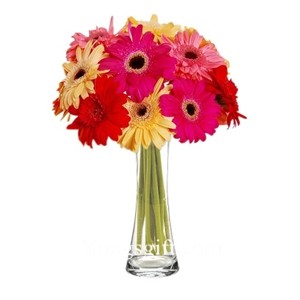 Mixed Gerberas to Indonesia