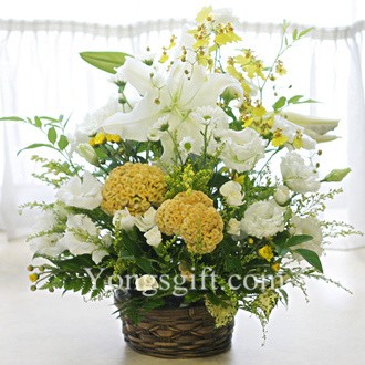 Sympathy Flower Basket  to Japan