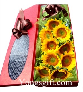 Sunflower Box to Korea