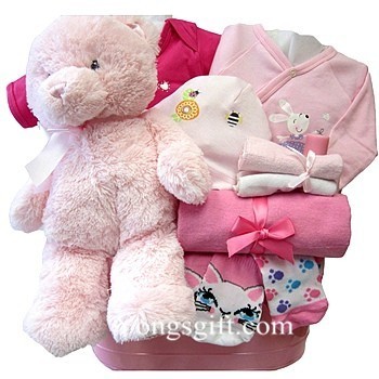 Baby Girl Gift Basket to South Korea