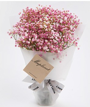 Gypsophila Beauty to Taiwan