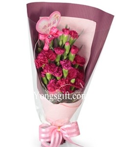 Hapyy Monther's Day Rosy Carnation to Taiwan-OUT OF STOCK!