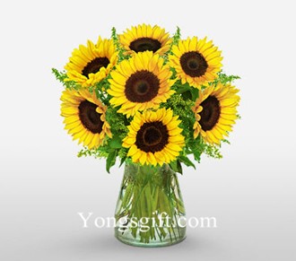 Golden Sunflower to Taiwan
