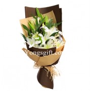 Perfect Lily For Him to Macau