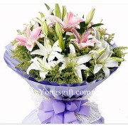 Stunning Pink and White Lilies to Taiwan