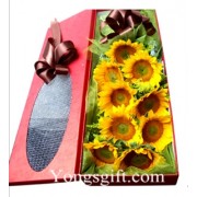 Sunflower Box to Korea